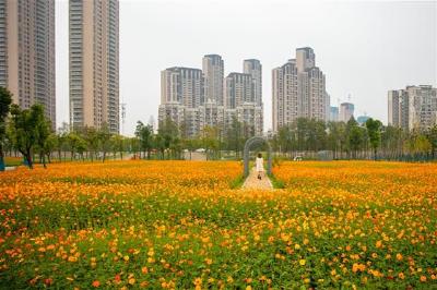 全年计划新建公园120个 武汉公园绿地服务半径覆盖率将达90%以上