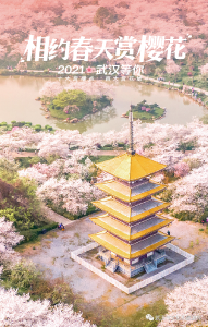 武大赏樱官宣！最新武汉赏樱攻略来了