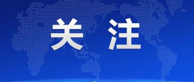 孝昌新岗村：“三个+”模式促乡村振兴