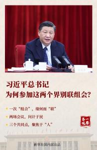 第一观察｜一二三！总书记为何参加这两个界别联组会？