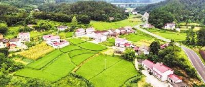 17家中央单位定点帮扶湖北省25个重点贫困县（市）