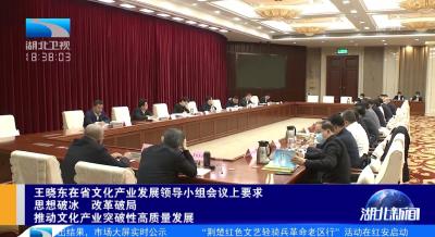 王晓东要求思想破冰 改革破局 推动文化产业突破性高质量发展