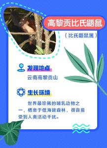 谁还不是个“小可爱”！