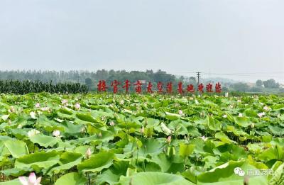 【乡村振兴】今年夏天，这里很甜！—— 安陆市接官乡打造实力产业助力村振兴​