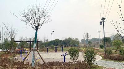 孝昌着力推进“三项行动”