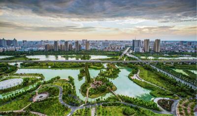 市政府六届四十次常务会议召开 强化支撑优化配置 加快推进高质量发展