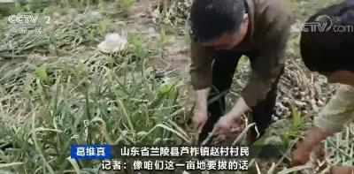 涨价了！常吃的调味食材新上市！