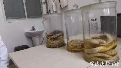 近期多发！有医院接诊近60例，一旦中毒会致命……
