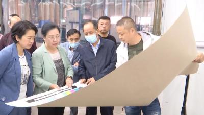 汉川：孝感市人大常委会到汉川调研，对这项工作予以肯定！