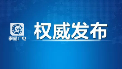 孝感市重点冷链食品和外环境监测排查情况（2021/5/21）