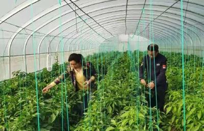 云梦：筑牢质量监管防线 守护群众舌尖安全