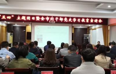 安陆青年党史学习教育有声有色