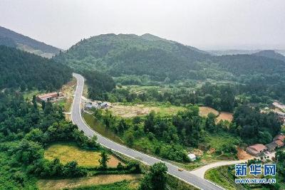 安陆：旅游公路通到白兆村 乡村旅游热起来