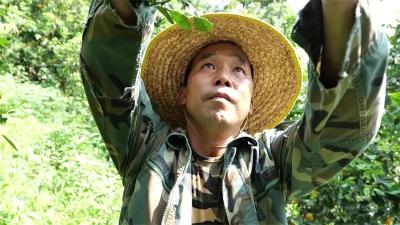 家乡脱贫后，他们做了一个决定！