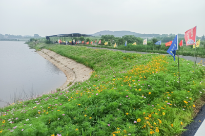安陆市赵棚镇掀起庆祝建党100周年活动热潮