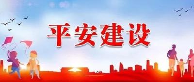 全国政协专题调研组在鄂调研 健全基层治理体系 推进平安乡村建设