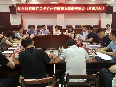 省自然资源厅来孝调研督导矿产资源规划编制和绿色矿山建设工作
