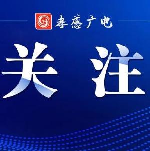 离群独象周末兴致高 又