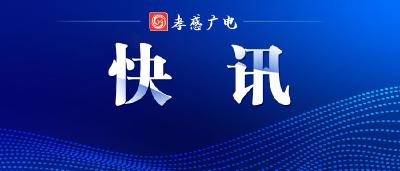 海铁联运物贸新通道正式启用 百台日本车转道武汉出口蒙古国
