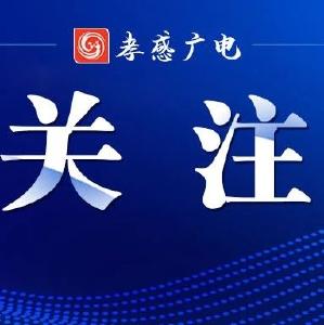 湖北利用外资重返中部第一、全国前十