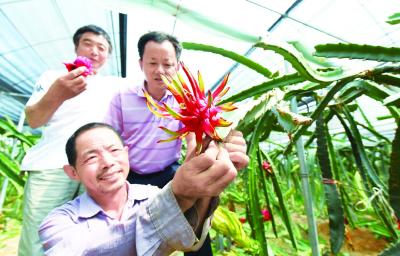 发展现代农业 助推乡村振兴