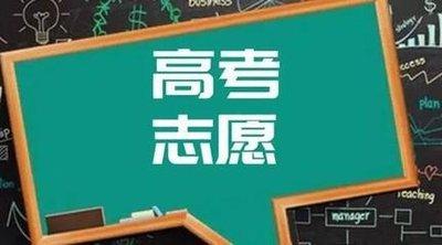 本科普通批和艺术本科B征集志愿