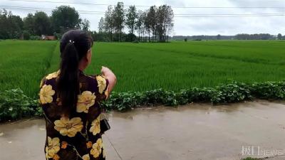 “她们经常外出打工赚钱，没想到这次出了大事”