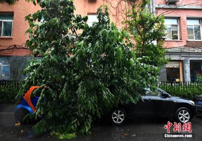 多地降雨量破历史极值 暴雨下一站去哪里？