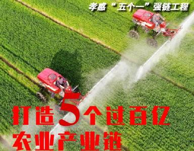 海报丨孝感实施“五个一”强链工程，打造5个过百亿农业产业链
