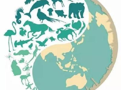 保护生物多样性 我们一直在努力