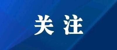 北京野生动物园里游客打斗 真会引起动物效仿吗？