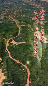 建设人与自然和谐共生的美丽家园——习近平生态文明思想基层生动实践新观察