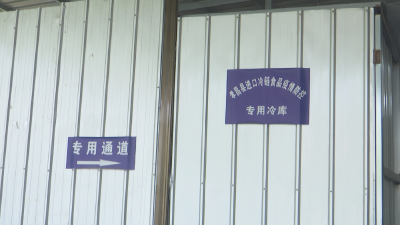 孝昌冷链从业人员、环境等核酸检测共24740次，均为阴性！
