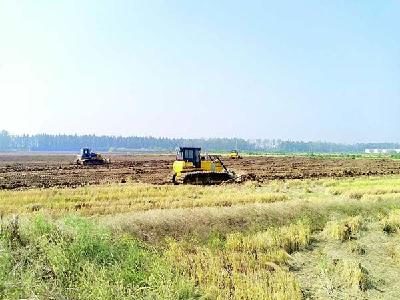 1个月平整土地1800亩 朱湖办事处全力推进全域国土空间综合整治项目
