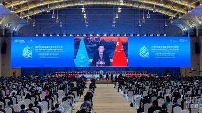 时政新闻眼丨在这场领导人峰会上，习近平阐述生物多样性保护的中国主张