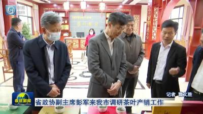 省政协副主席彭军来我市调研茶叶产销工作  