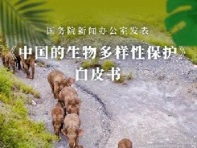 怎么保护生物多样性？请看中国的办法！