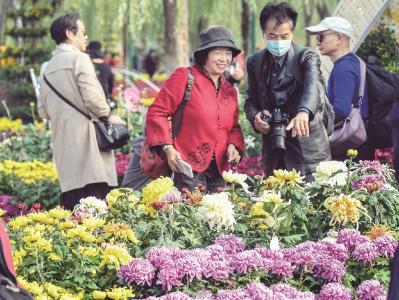  第38届武汉金秋菊展盛装开幕