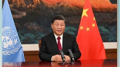 第一观察｜地球生命共同体，何以成为联合国讲坛“主题词”