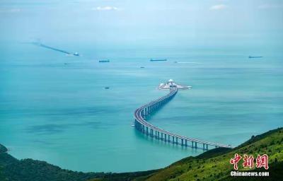 “百年”节点，习近平为何始终“以史为题”