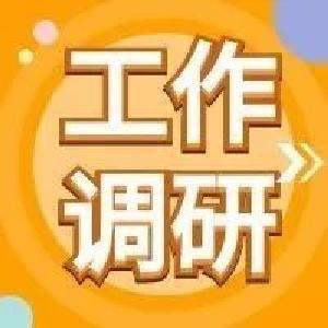 市领导调研民政工作