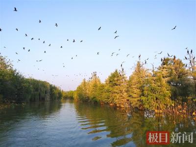 全国14%的鸟类都可以在这里找到