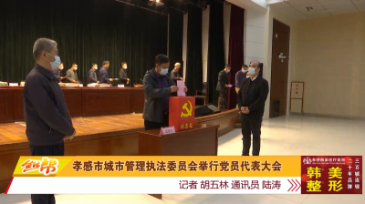 孝感市城市管理执法委员会举行党员代表大会