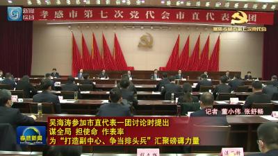 吴海涛参加市直代表一团讨论时提出 谋全局 担使命 作表率 为“打造副中心、争当排头兵”汇聚磅礴力量