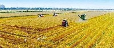应城获评全国主要农作物全程机械化示范县市