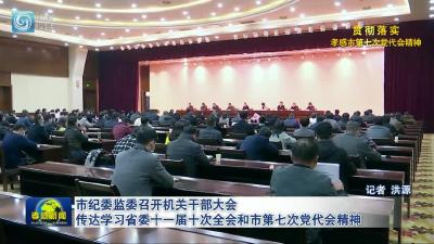市纪委监委召开机关干部大会传达学习    省委十一届十次全会和市第七次党代会精神