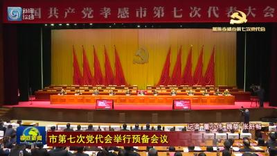 市第七次党代会举行预备会议 通过了大会议程和大会主席团、大会秘书长、代表资格审查委员会等名单 