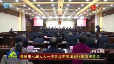 孝感市七届人大一次会议主席团举行第五次会议