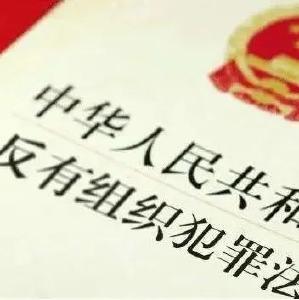 反有组织犯罪法通过！扫黑除恶有了专门法