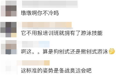 秦岭真墩墩！村民拍到大熊猫游泳过河